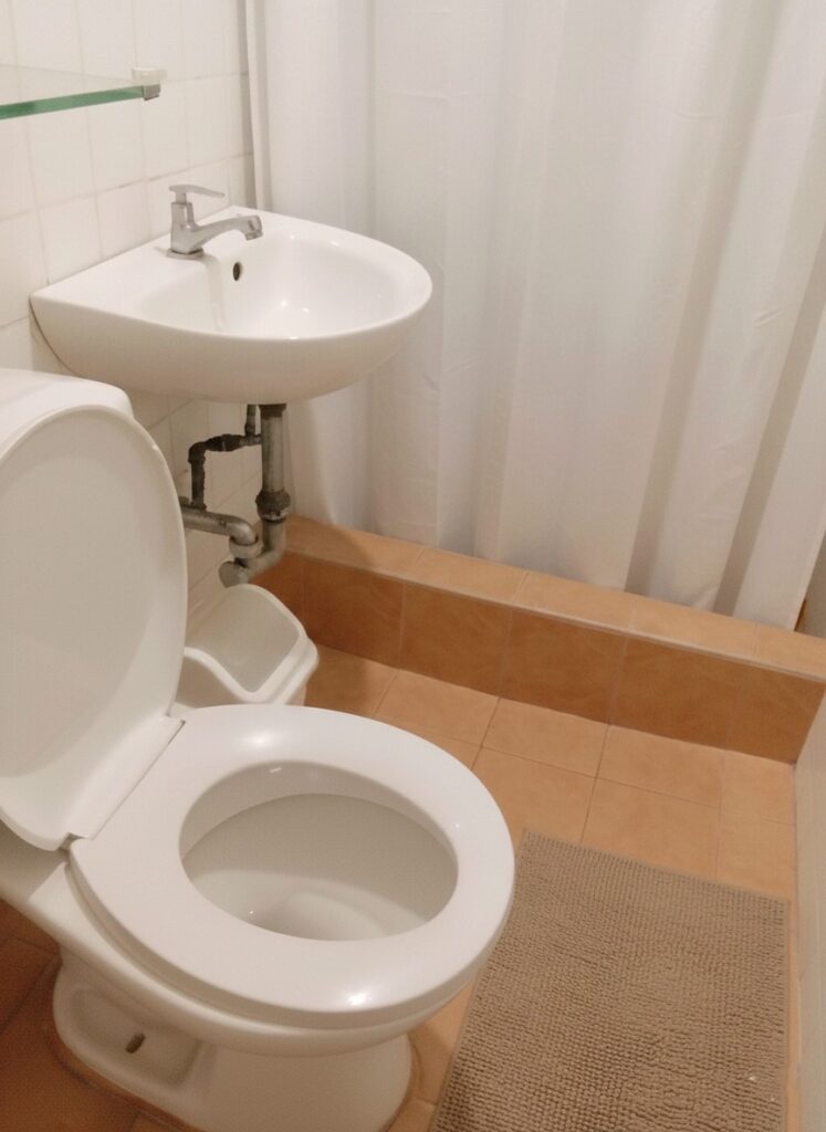 Clean comfort room